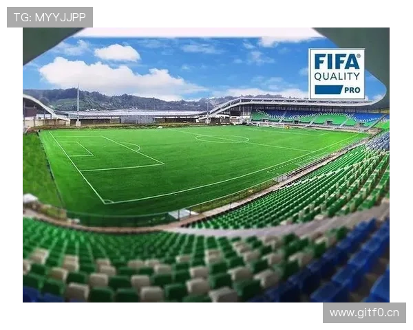 网易体育深度解析体坛最新风向